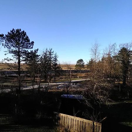 Apartament Seeperle 5, Stilvolle Fewo Mit Nordseeblick Sankt Peter-Ording Zewnętrze zdjęcie